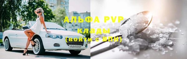 spice Богданович