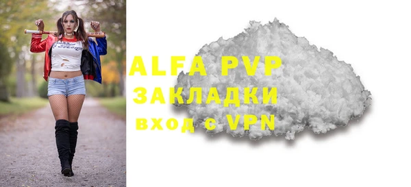spice Богданович
