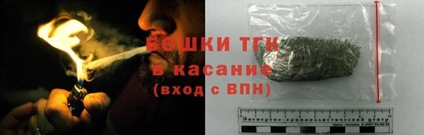 spice Богданович
