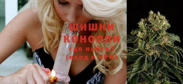 шишки Богородск