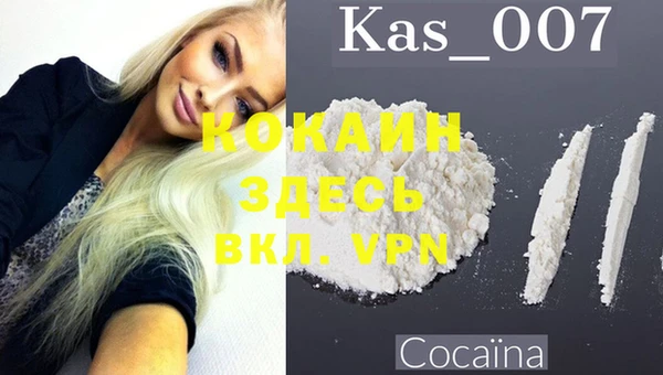 spice Богданович