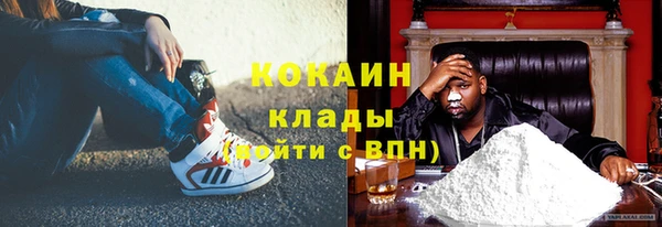 шишки Богородск