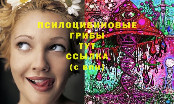 spice Богданович