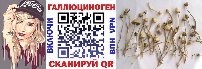 даркнет сайт  Бутурлиновка  Галлюциногенные грибы мицелий 