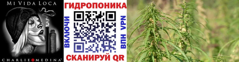 как найти наркотики  Бутурлиновка  Каннабис семена 